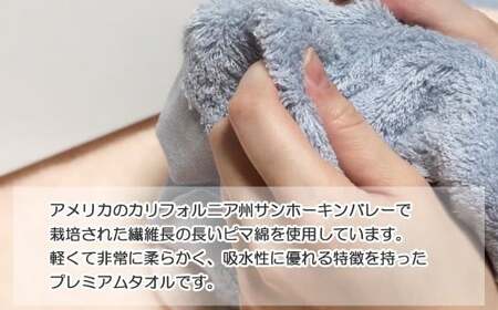 【今治タオル】【Hello!NEW タオル】タオルセット　シンプルサンホーキン（ブルー）