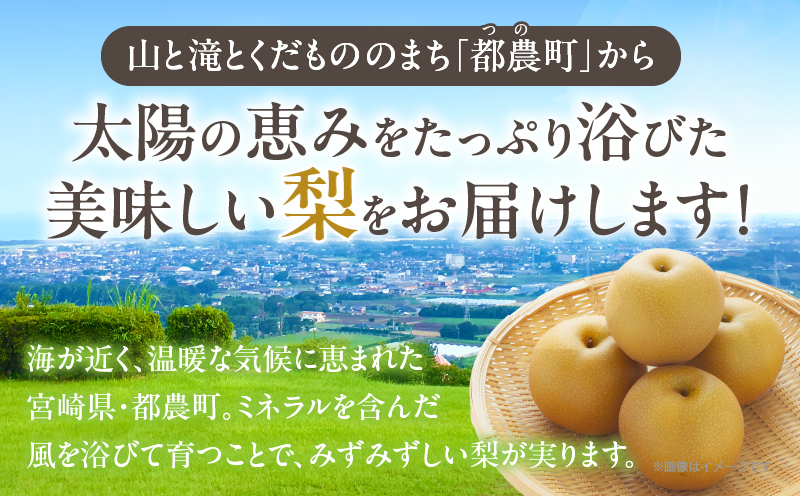 先行予約≪期間限定≫まるみ観光果樹園の『豊水梨』(約3kg) なし 果物 フルーツ 天然 ミネラル栽培_T036-0015