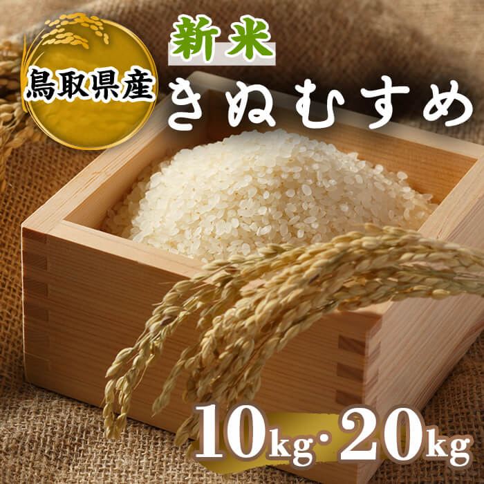 【ふるさと納税】＜先行予約受付中！2025年10月中旬～2026年8月下旬発送予定＞＜数量限定＞＜容量が選べる＞令和7年産新米鳥取県産きぬむすめ(10kg～20kg) 国産 米 お米 おこめ 白米 精米 おにぎり おむすび ごはん お弁当 常温 【sm-DD066】【Workplays】