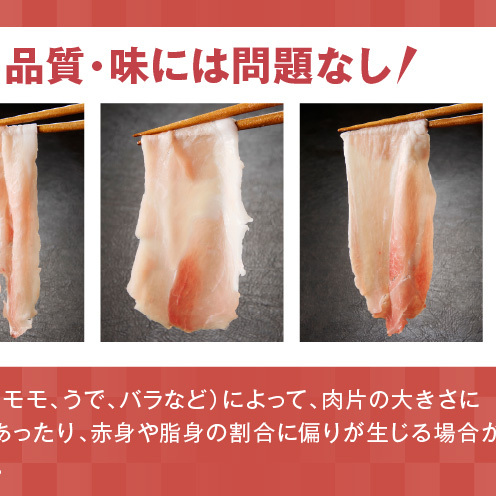 【期間限定】国産 豚肉 切り落とし 5kg【スピード発送 氷温熟成×極味付け 500g×10P ぶたにく 普段使い 野菜炒め 訳あり サイズ不揃い】 mrz0512_イメージ3