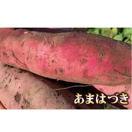 8-012-008　さつまいも（あまはづき）5kg【マルゼン佐藤果樹園】