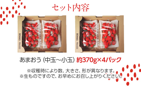 荒巻エコタロウ農園のちょっと小ぶりなたっぷりあまおう1,480g（約370g×4パック) 　中玉～小玉サイズ サイズ不揃い 【2026年2月~4月】BJ02