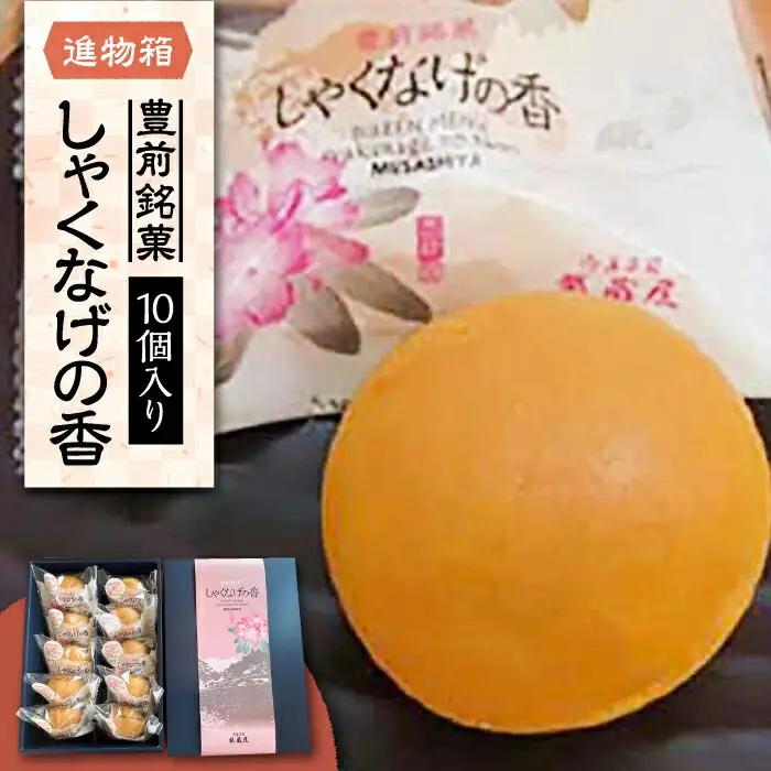 【進物箱】しゃくなげの香 10個 VBU004 白餡をカステラ饅頭の生地で包み焼き