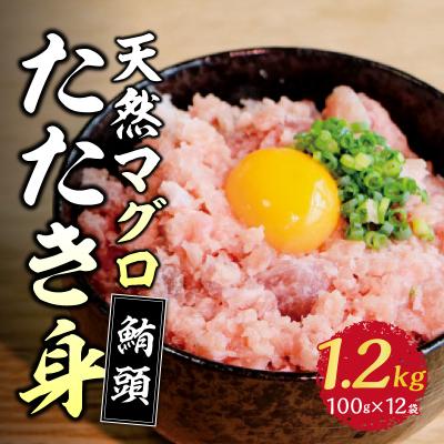 ふるさと納税 焼津市 焼津 天然 鮪 ネギトロ セット 合計 約1.2Kg(a10-100) |  | 01