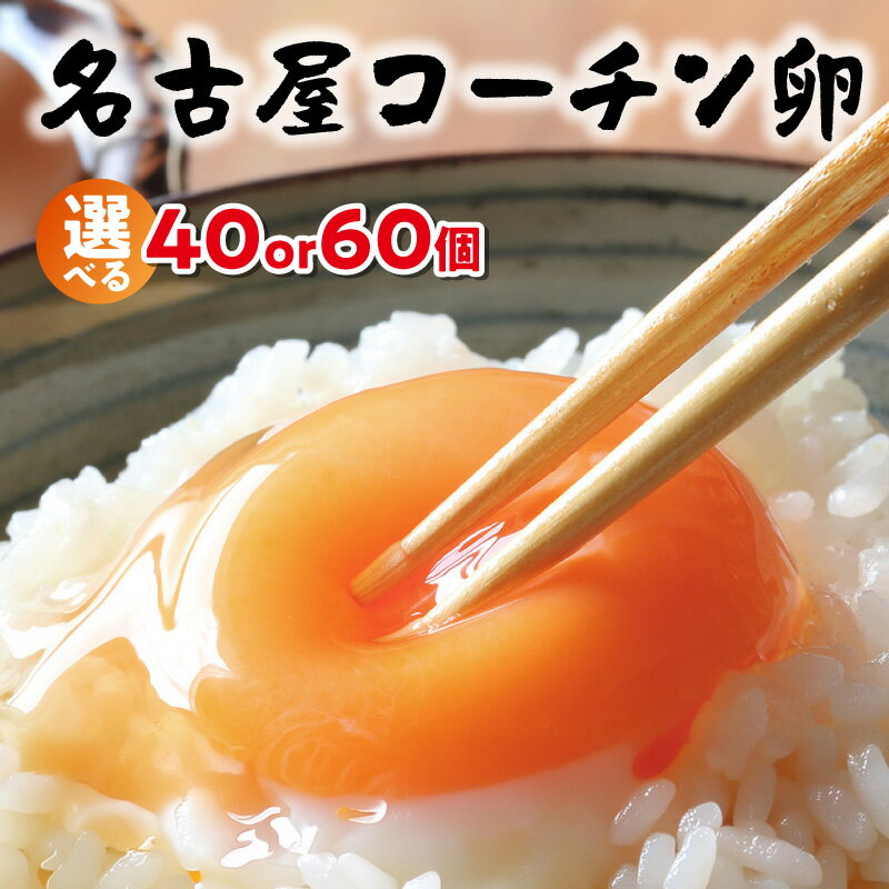 【ふるさと納税】日本を代表する地鶏　名古屋コーチン卵 【選べる個数：40個・60個】 ブランドたまご ブランド卵 ブランド玉子 卵 たまご タマゴ 玉子 赤たまご 鶏卵 産みたて 新鮮 こだわり 上質 濃厚 卵焼き 卵かけご飯 国産 阿久比町産 特産 送料無料 愛知県 AB001