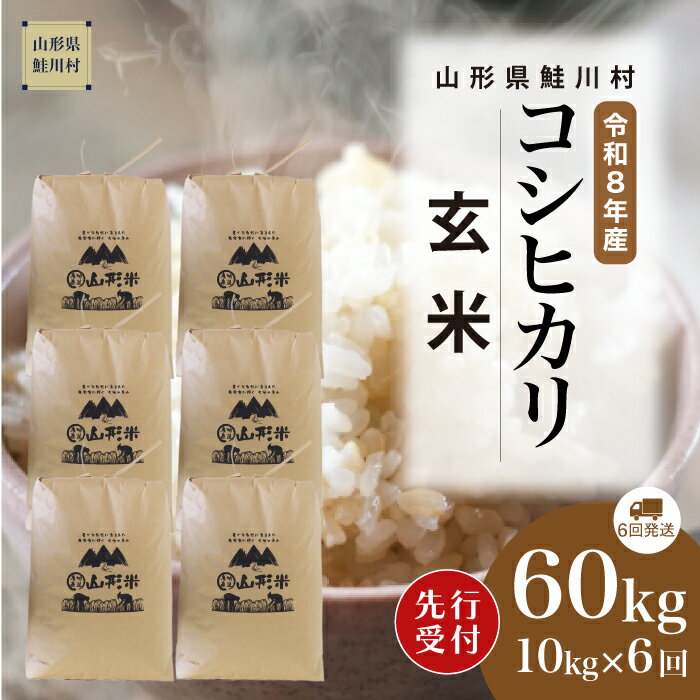 【ふるさと納税】＜令和8年産米先行受付＞ 鮭川村 コシヒカリ 【玄米】60kg （10kg×1ヶ月間隔で6回お届け）＜配送時期選べます＞