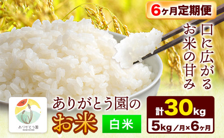 白米【6ヶ月定期便】令和7年産 ありがとう園のお米 5kg《お申込み月の翌月から出荷開始》