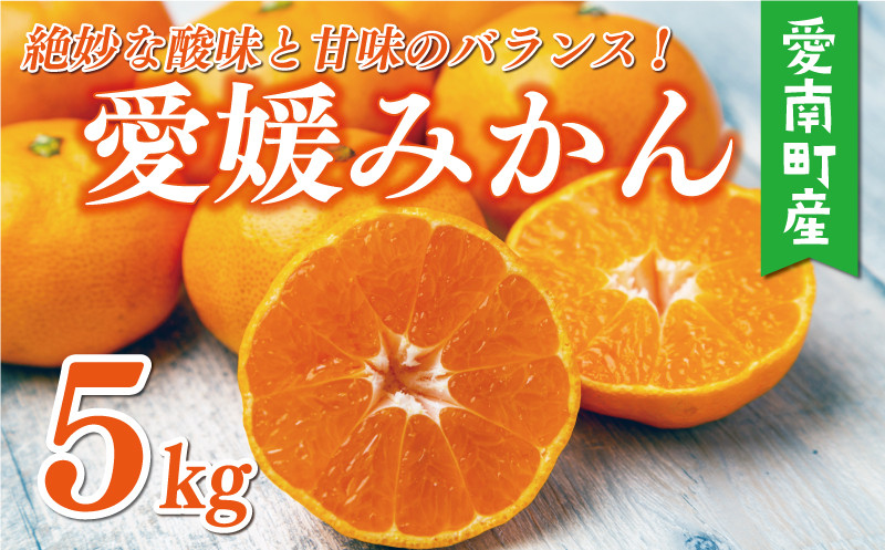 
                  【先行予約】訳あり 愛媛みかん 5kg 7000円 愛媛 みかん 温州みかん 早生 みかん こたつ みかん 温州ミカン 温州 mikan 蜜柑 ミカン 家庭用 贈答用 ギフト プレゼント お歳暮 産地直送 国産 農家直送 糖度 期間限定 数量限定  ゼリー ジュース アイス 人気 限定 甘い フルーツ 果物 柑橘 ビタミン 美味しい おいしい サイズ ミックス 愛南町 愛媛県 マルハラファーム
                
