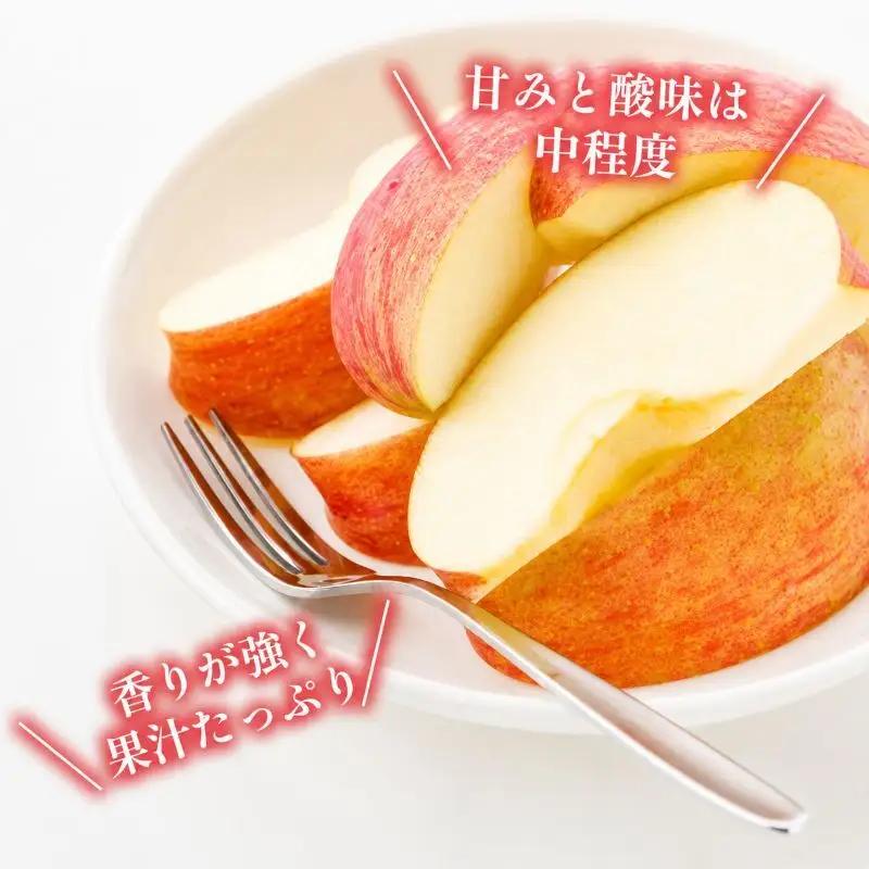 りんご 秋映 約10kg 果物 くだもの りんご