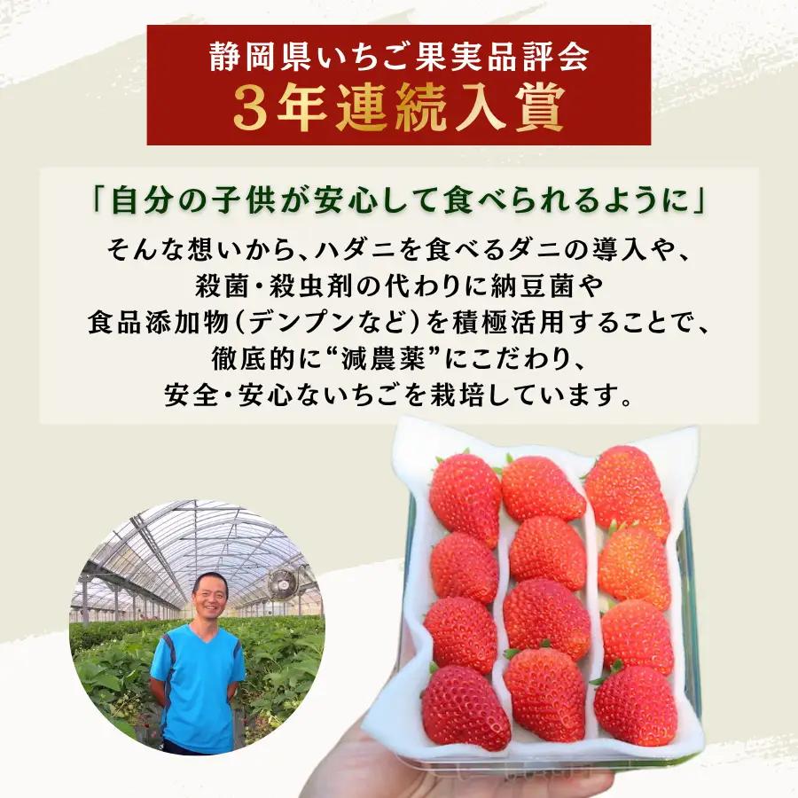 【2027年発送予定】完熟 冷凍イチゴ 1kg　【 フローズン ストロベリー スムージー 苺 いちご 】
