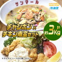 【ふるさと納税】南ちゃんセット(合計約3kg・チキン南蛮200g×3個、チャンポン620×4個)お肉 鶏肉 鳥肉 とり肉 ちゃんぽん 麺 スープ 野菜 具沢山 冷凍 小分け 詰め合わせ 詰合せ おかず 惣菜 簡単調理【TG-5】【サンクスギビング】