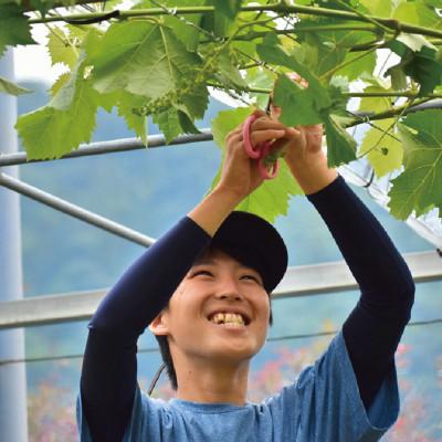 ふるさと納税 真庭市 【きよとうファーム】薫り高い黒ぶどう「黒いアルファ」のロゼワイン「BLACK DAWN」(岡山県産) |  | 02