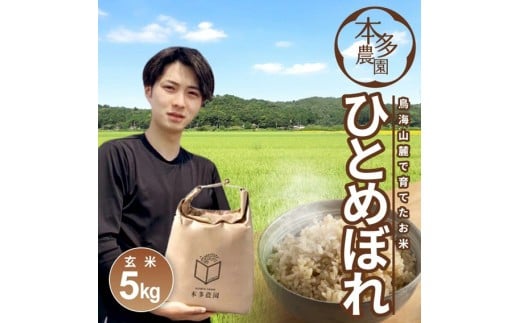 令和7年産【玄米】ひとめぼれ　5kg 農家直送  HO SA2790