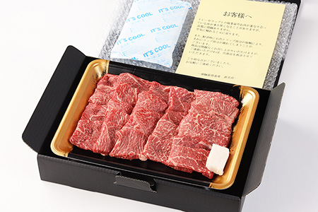飛騨牛焼肉セット 600g（もも焼肉 300g・かた焼肉 300g）【22-27】