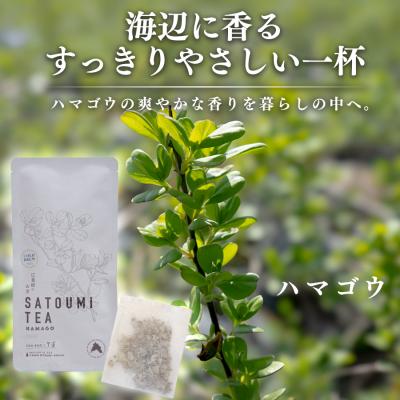 ふるさと納税 大月町 広葉樹のお茶 里海茶 ハマゴウ 4袋 28パック入り カフェインフリー 野草茶 高知県 大月町 |  | 01