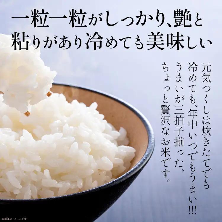 【無洗米】令和7年産 金のめし丸 元気つくし 精米 10kg（5kg×2） 米 無洗米 元気つくし 森光商店 老舗 福岡 お米 ごはん ご飯 お弁当 おにぎり 金のめし丸県産米 福岡ブランド米 めし丸
