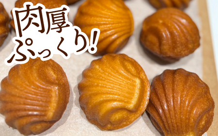 干し柿マドレーヌ×4個 スイーツ 洋菓子 西条柿 お土産 島根県松江市/Kenasun[ALHF003]