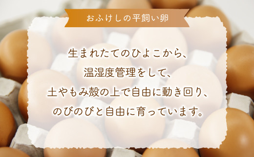 北海道 豊浦 おふけしの平飼い卵 48個  TYUZ003