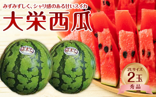 733.【先行予約】【JA】大栄西瓜 秀2L×2玉 ※着日指定不可 ※離島への配送不可 ※2025年6月中旬頃～7月中旬頃に順次発送予定【大栄西瓜 西瓜 すいか スイカ フルーツ 果物 鳥取県 北栄町 おすすめ 人気】