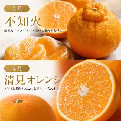 ふるさと納税 かつらぎ町 【発送月固定定期便】紀州和歌山産旬のフルーツセット(不知火・清見・スイカ・桃・柿・みかん)全6回 |  | 01