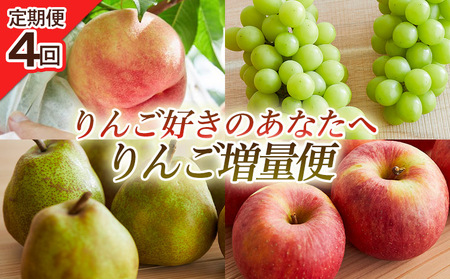 【定期便4回】りんご好きのあなたへ りんご増量便 FY25-221