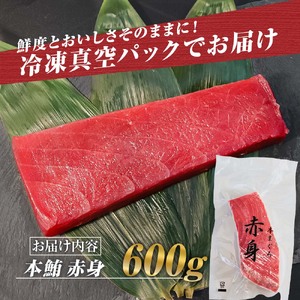 本鮪 赤身600g 高知県土佐市 【株式会社大熊】 [BQAA037]