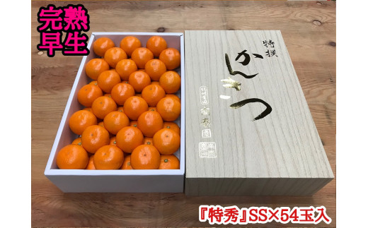 
                  年内発送 完熟早生 有田みかん 化粧箱 特秀 小玉 SS サイズ 54玉入 和歌山 南泰園 みかん
                
