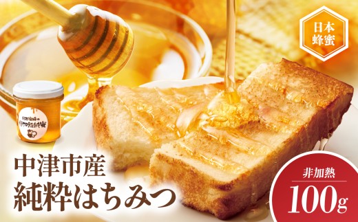 中津市産 日本蜜蜂の非加熱純蜜 100g | 国産 日本 蜂蜜 非加熱 はちみつ ハチミツ 大分県 中津市