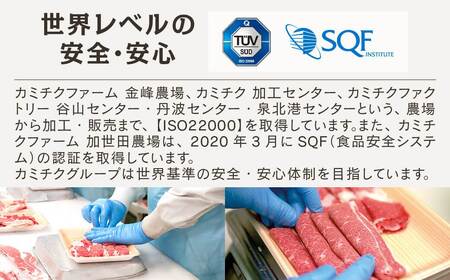 宮崎県産　上村牛カルビ焼肉800g　国産牛肉　カミチク＜1.4-5＞