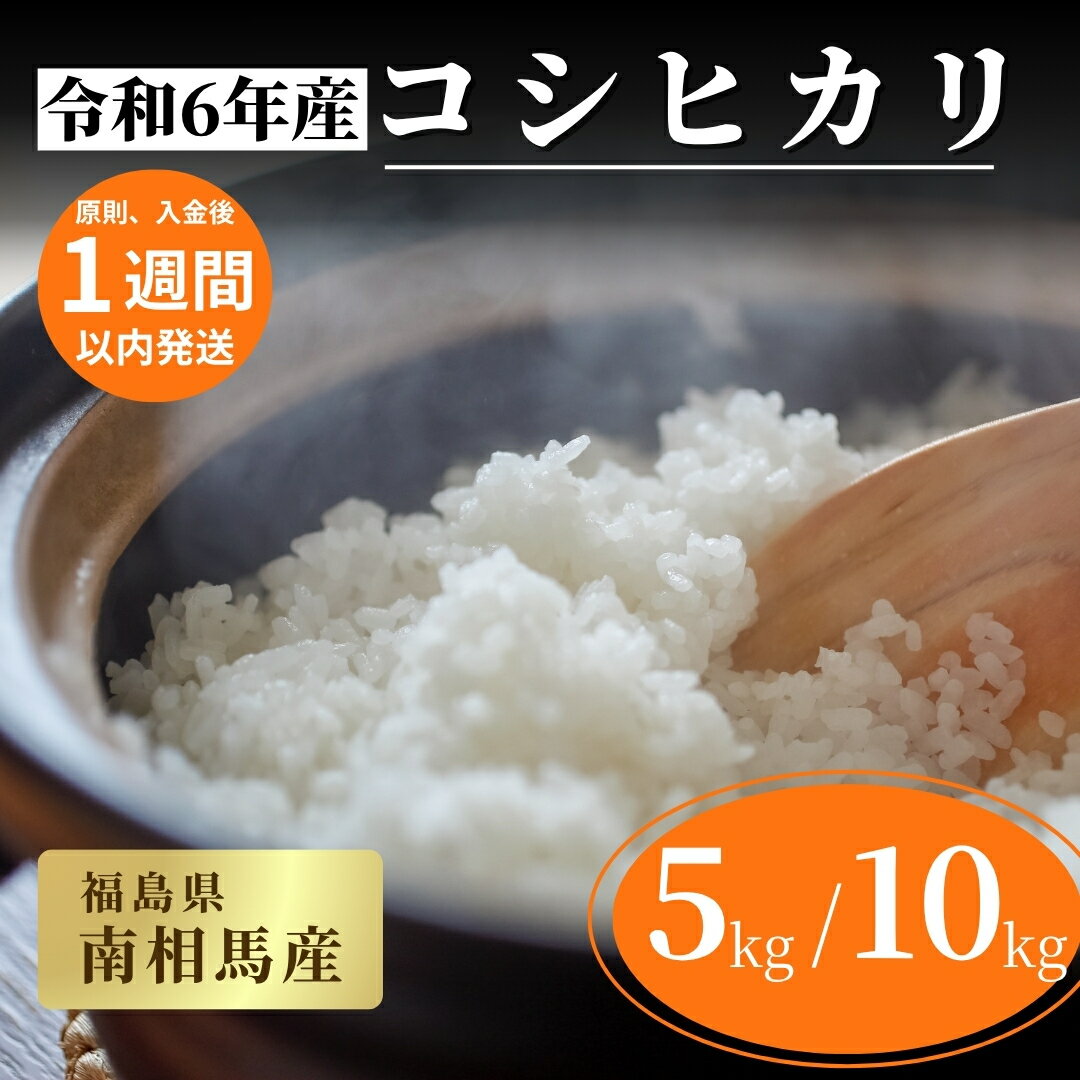 【ふるさと納税】【令和6年産】 福島県産 コシヒカリ 白米 5kg / 10kg｜ こしひかり 福島 福島産 精米 南相馬産 令和6年産米 星忠雄商店 星米店【153484-001】