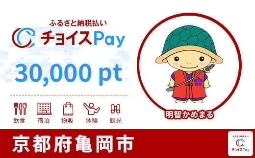 
            亀岡市チョイスPay 30,000pt【会員限定のお礼の品】
          