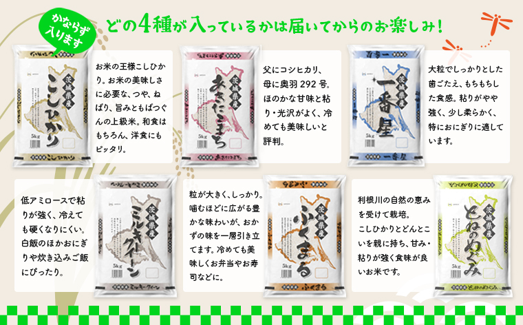 【6か月毎月発送】＜2024年11月下旬初回発送＞ 定期便 1000セット 限定 お米 4種 食べくらべ 20kg 茨城県産