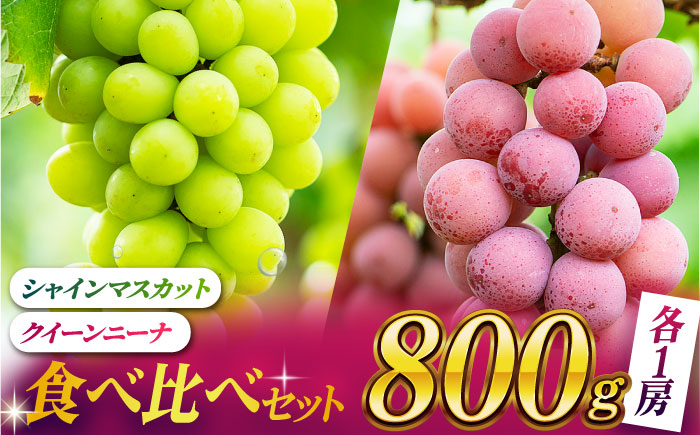 【2026年発送先行予約】食べ比べセット 800g（シャインマスカット & クイーンニーナ 各一房）【合同会社 社方園】 [ZBZ018]