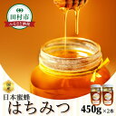 【ふるさと納税】うつしの里 日本蜜蜂はちみつ 2本 (450ml × 2) 蜂蜜 ハチミツ 健康 レシピ 国産 効能 美容 栄養 福島県 田村市 菅野 豊