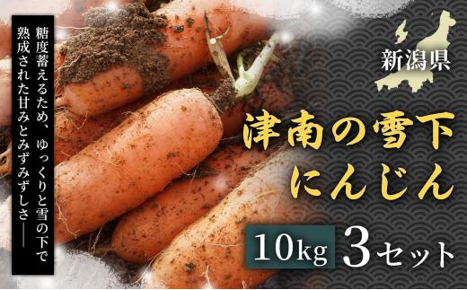 【令和8年産先行予約】津南の雪下にんじん 10kg 3セット 新潟県 津南町