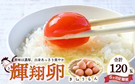 
【6ヶ月定期便】黄身は濃厚、白身あっさり爽やか こだわり卵【輝翔卵】20玉×6ヶ月 合計120玉
※着日指定不可
※離島への配送不可
