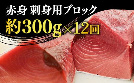 【全12回定期便】【ながさき水産業大賞受賞の新鮮なマグロを冷蔵でお届け！！】五島列島産 養殖 生本かみマグロ 赤身 300g 【カミティバリュー】[RBP025]