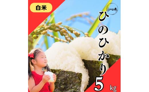 令和7年度産 ヒノヒカリ 白米 5kg ブランド米 米 白米 精米 選べる 国産 食味 白飯 ご飯 もちもち 特A評価 ひのひかり こめ お米 okome kome おむすび おにぎり弁当 美味しい 朝食 取り寄せ 魚 肉 の おかず にあう 福岡県 柳川市 宝物産