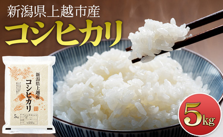 【先行予約　10月中旬より順次出荷】　令和7年度産　新潟県上越市産　コシヒカリ5kg 米 新米 こしひかり ご飯 精米 お米 新潟