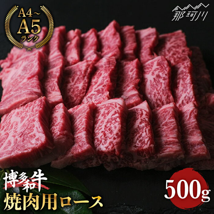 【ふるさと納税】【きめ細やかな霜降り】博多和牛 牛肉 焼肉 ロース 500g＜肉のくまもと屋＞那珂川市 | 父の日 牛肉 肉 黒毛和牛 ブランド牛 国産 BBQ バーベキュー [GBI024] 20000 20000円 2万円 以上