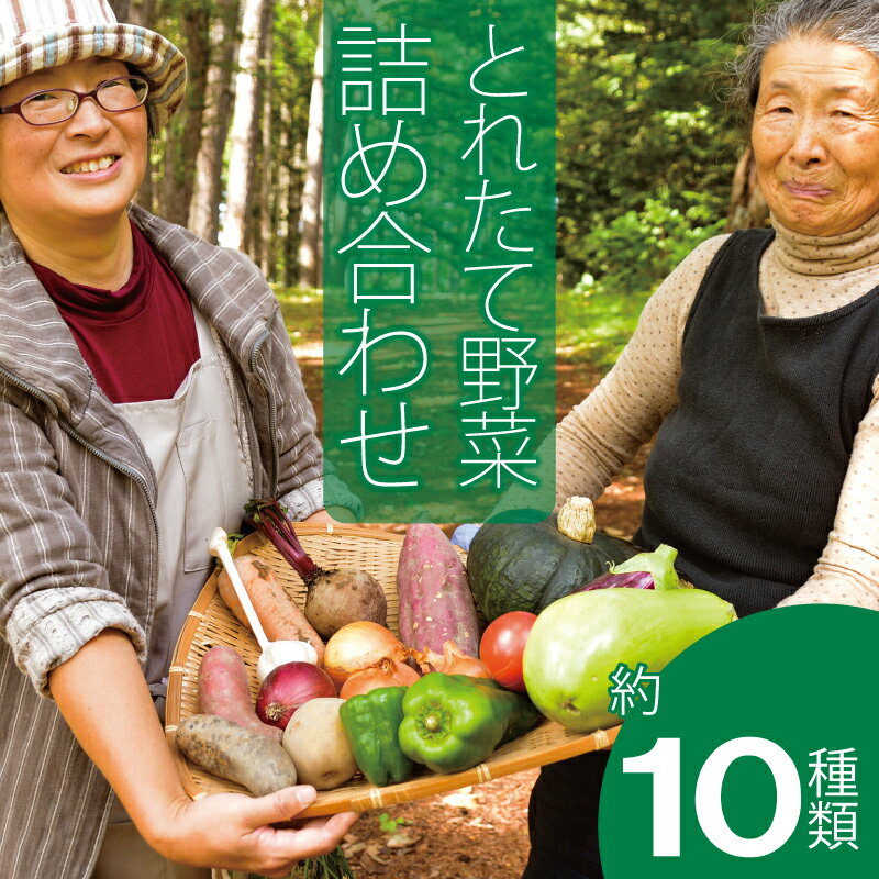 【ふるさと納税】 2026年産 そうまファーム 野菜セット 無農薬 無化学肥料 野菜詰め合わせ ぷちぷよ 白ナス とうもろこし にんにく ブルーベリー 玉ねぎ じゃがいも ビーツ ゴーヤ かぼちゃ 採れたて 新鮮 旬 相馬ファーム 数量限定 送料無料 北海道 当麻町 お取り寄せ
