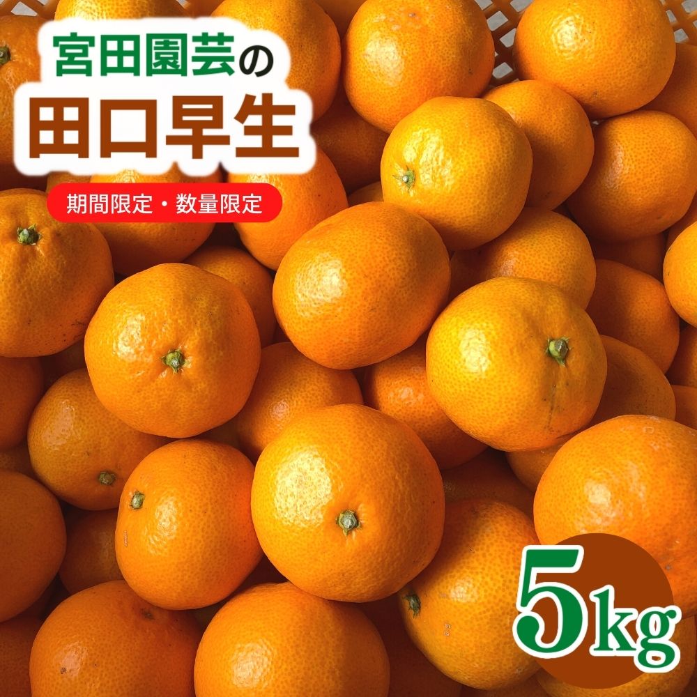 【ふるさと納税】＜先行予約受付中！2025年12月上旬から順次発送予定＞田口早生(5kg)みかん 蜜柑 フルーツ 果物 くだもの 柑橘 期間限定【112300101】【宮田園芸】