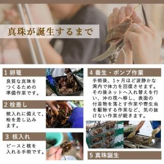 メール便でお届け！ アコヤ真珠 直付き ピアス (6.5mm・SV) 真珠 パール ピアス フォーマル パーティー 結婚式 冠婚葬祭 卒業式 入学式 おしゃれ 【AF114】【(有)オーハタパール】