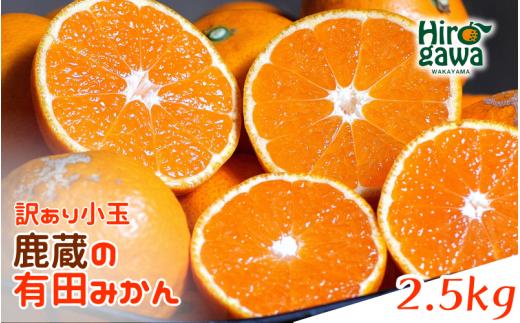 鹿蔵の 有田みかん 訳あり 小玉 2.5kg 光センサー 選果【ikd004-cs-2d5-novD】
