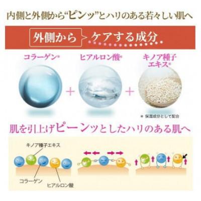 ふるさと納税 鏡野町 【毎月定期便】RJスペシャルリフト ジェルクリーム(32631)全6回 |  | 03