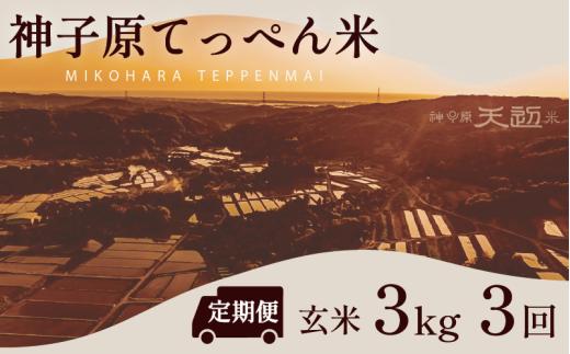 定期便 数量限定 こしひかり 玄米 3kg 3回 神子原 てっぺん米 計 9kg 令和7年産 こだわり もっちり 甘み 食味ランクS 最高評価 genmai gennmai ※ ご飯 ごはん R7 2025年産 おいしい 美味しい 神子原てっぺん米 神子原頂上米 石川県 石川 能登 羽咋 支援 応援 復興応援 復興支援 お米 米 おこめ こめ kome okome ふるさと納税米 