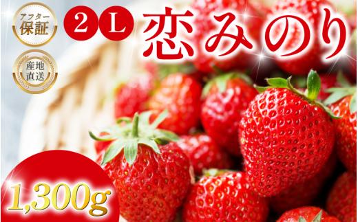 いちご 1.3kg 先行予約 大粒 2L以上 恋みのり 極上 香り 甘い 苺 イチゴ 果物 フルーツ ストロベリー ジャム スムージー 期間限定 洋菓子 家族 子ども フルーツサンド フルーツ大福 いちご大福 苺大福 ケーキ アイス シャーベット 人気 オススメ お取り寄せ グルメ ミカモフレテック みよし 徳島県 三好市