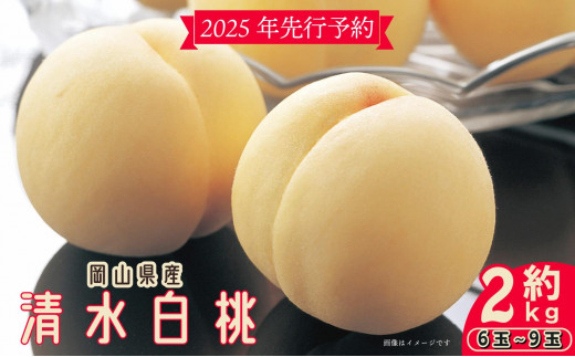 【2025年先行予約】［拝郷果樹園］岡山県産 清水白桃 約2kg（6玉〜9玉）