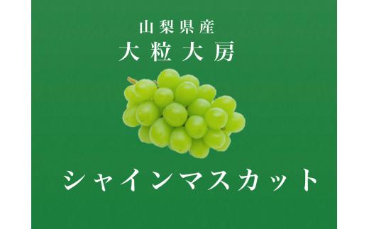 ＜2026年発送先行予約＞大粒大房！山梨県産シャインマスカット 2房 ALPDS007