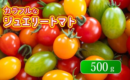 ジュエリー トマト 500g 先行予約 予約